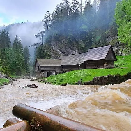 Dom wakacyjny Drevenica Borovianka 2 Wielkie Borowe