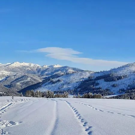 Drevenica Borovianka 2 *