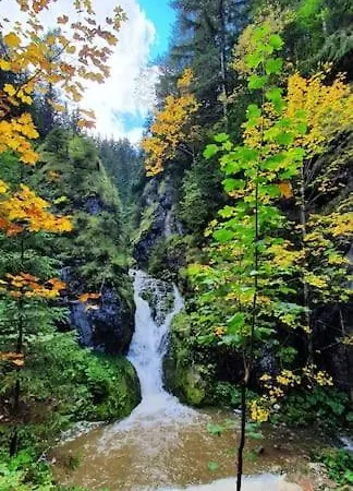 Drevenica Borovianka 2 Dom wakacyjny